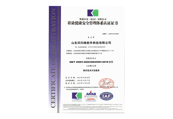 山东回归线软件科技有限公司QES监(5).jpg